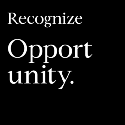 Recognize-Opportunity