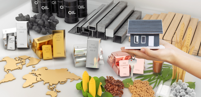 Housing Commodification 2025